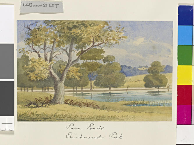 Penn Ponds, Richmond Park