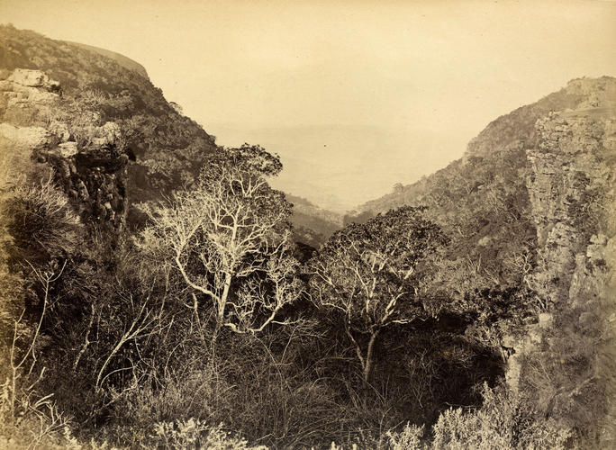 Burgerston Gorge in the eastern part of the Transvaal Colony