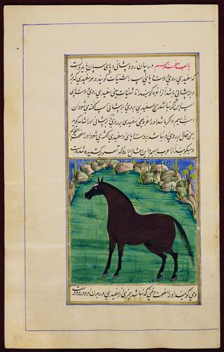 Farasnamah فرسنامه (A Treatise on Horses) and Dawlatnamah دولتنامه (A Treatise on Falcons)