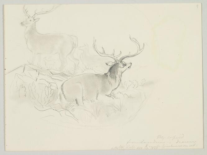 Master: SKETCHES FROM NATURE V. R. 1847 TO 1852
Item: Copied from Landseer's drawing on the wall of the small [?Luncheon] room at [Ardverikie]