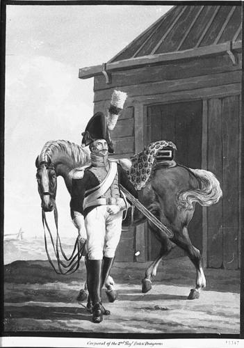 Netherlands Army. Serjeant, 1st (or 2nd) Horse Netherlands Army. Serjeant, 1st (or 2nd) Horse