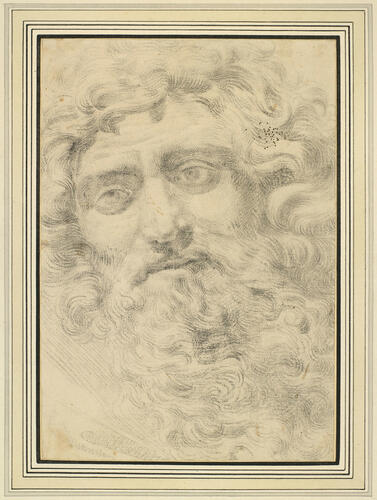 The head of Bacchus The head of Bacchus