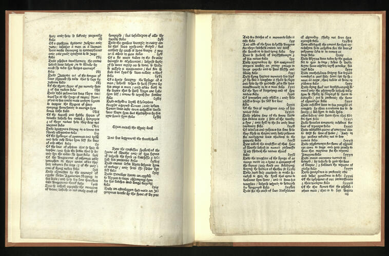 Confessio amantis [fragment] / John Gower