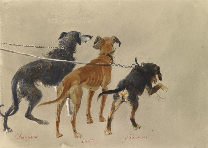 Prince Albert's dogs