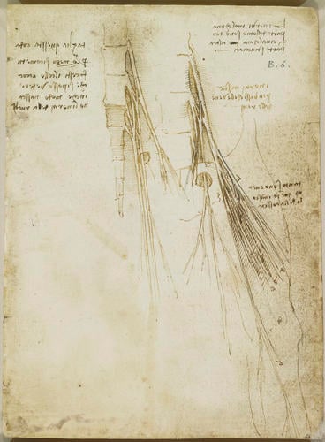 Recto: The lumbar plexus. Verso: The veins of the pelvic and lumbar region
