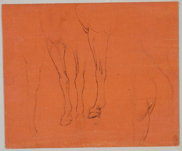 Horses' legs Horses' legs