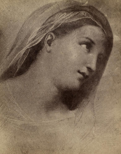 'From a Drawing after Raphael'