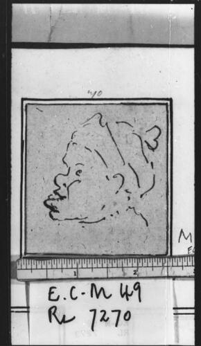 The head of a snub-nosed young man
