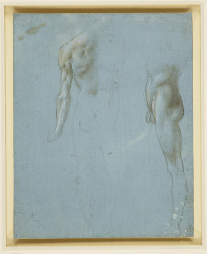 Two studies of a standing male nude