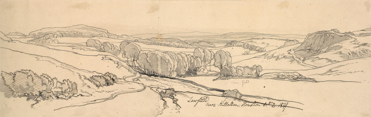 Lawfield