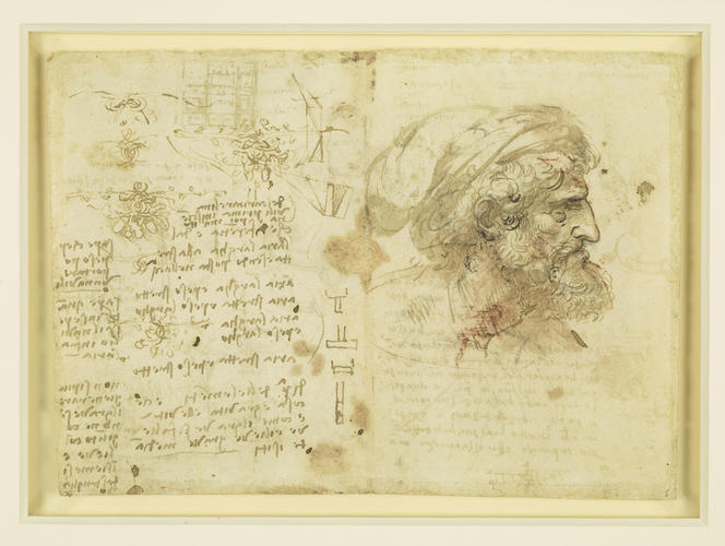 Recto: The bust of a man in profile, studies of intertwined oak, and other studies. Verso: Studies of coition, wave propagation, architecture, engineering, etc Recto: The bust of a man in profile, studies of intertwined oak, and other studies. Verso: Studies of coition, wave propagation, architecture, engineering, etc