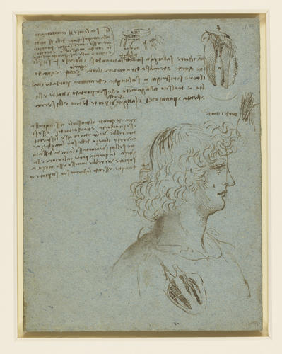 Studies of the heart, and the head of a youth in profile