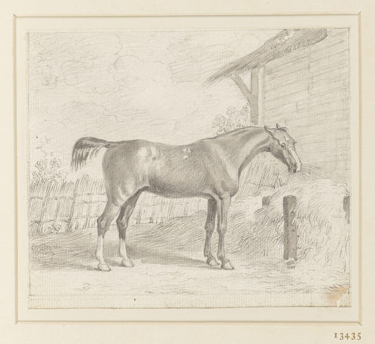 The Road Horse The Road Horse