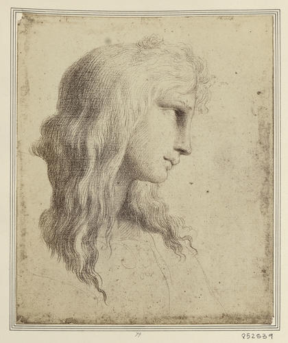 Head of a young man [from 'The School of Athens']