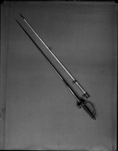 Glass plate negative Glass plate negative