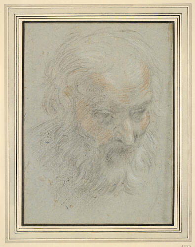 The head of a bearded man The head of a bearded man