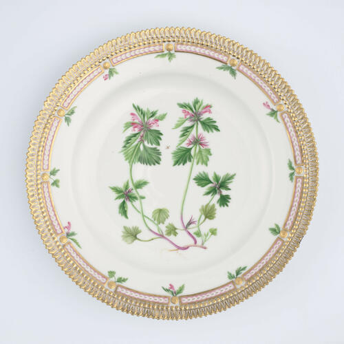 Master: Set of dinner plates
Item: Lamium incisium