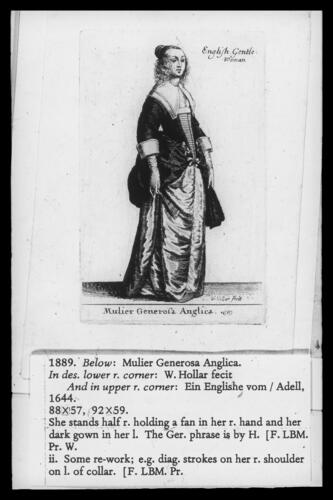 Mulier Generosa Anglica