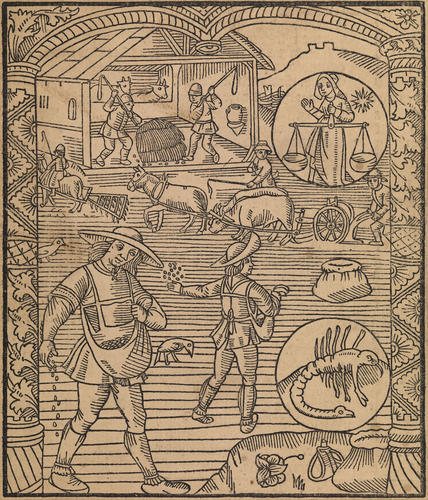 Master: Twelve woodcuts of the labours of the months from 'The kalender of shepherdes'
Item: September