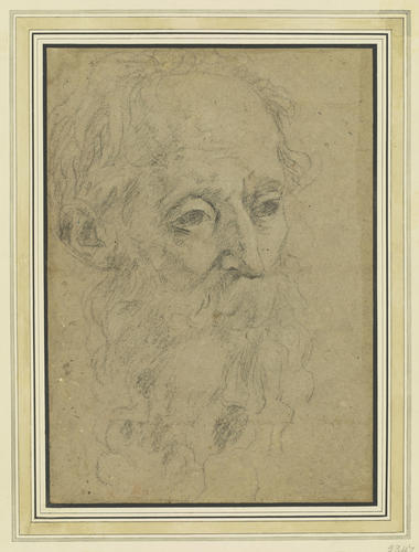 A study of the head of an old man