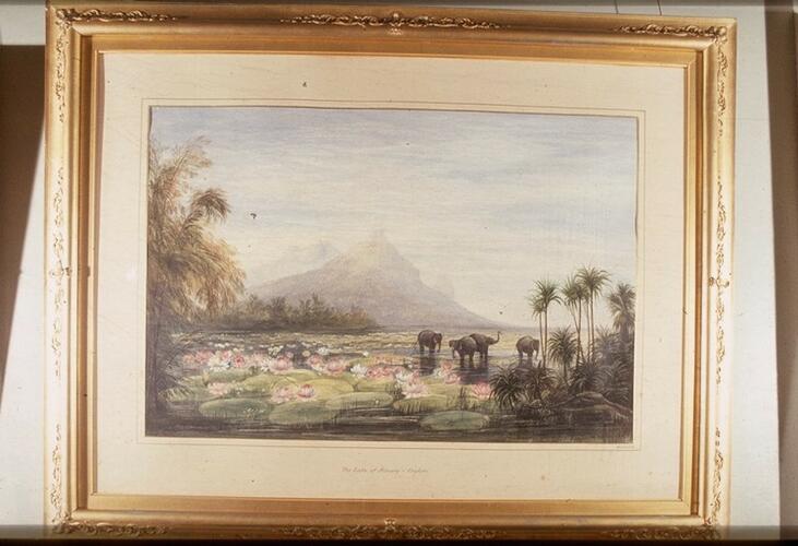 Ceylon: the Lake of Minery