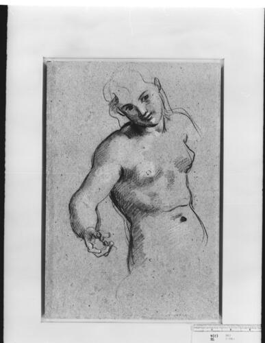 Recto: A man with arm raised. Verso: A study for one of Galatea's female companions