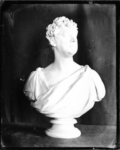Glass plate negative of a marble bust Glass plate negative of a marble bust
