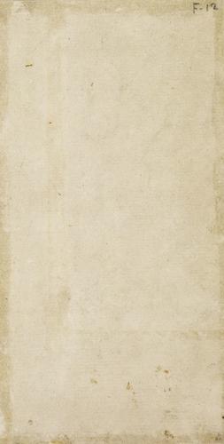 The hind-quarters of a horse