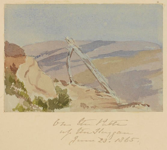 Master: SKETCHES FROM NATURE V. R. 1865 TO 1867
Item: On the Path up the Sluggan