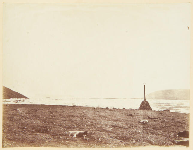 Discovery Bay, 81. 44'N, Cape Lieber in distance - Inuit dogs. July 1876, natural breakwater [Her Majesty's ships the Alert & Discovery, 1875-1876]