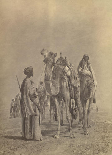 'Camels in the Desert'; Halt in the Desert