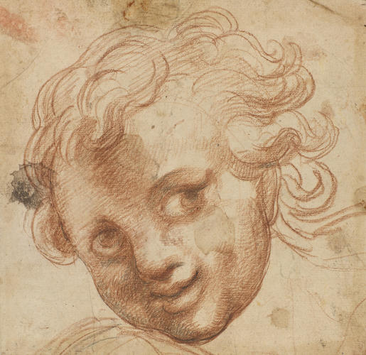 The head of a youth
