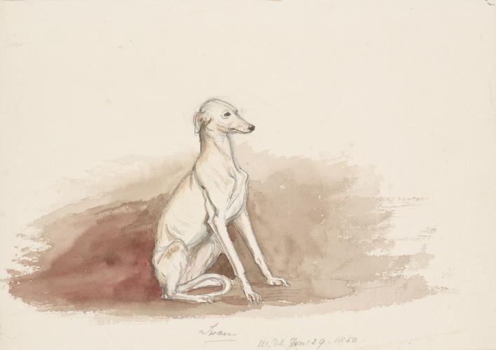 Master: SKETCHES FROM NATURE V. R. 1847 TO 1852
Item: Swan