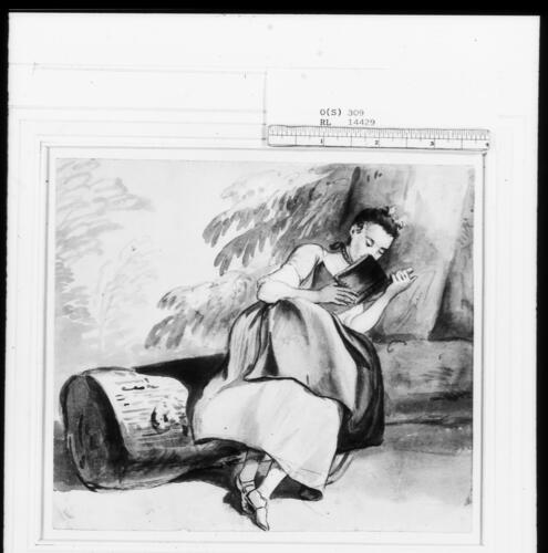 Lady Wallace