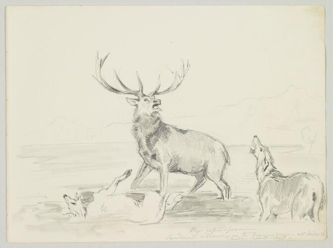 Master: SKETCHES FROM NATURE V. R. 1847 TO 1852
Item: Copied from Landseer's drawing on the Dining room at Ardverikie