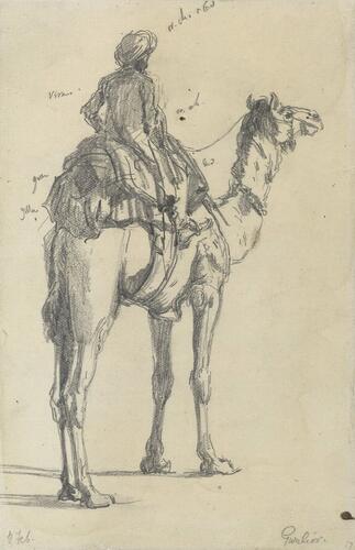 The Prince of Wales Visit to India 1876: A man on a dromedary