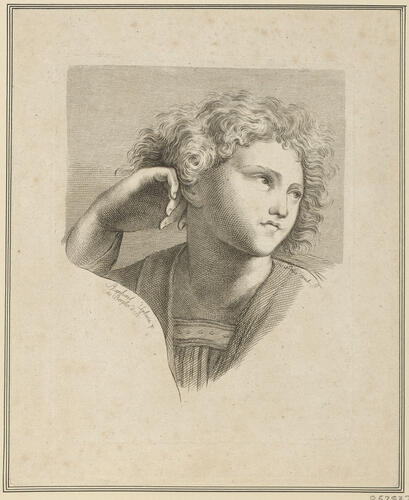 Master: Set of prints reproducing heads from 'The School of Athens'
Item: Head of a youth [from 'The School of Athens']