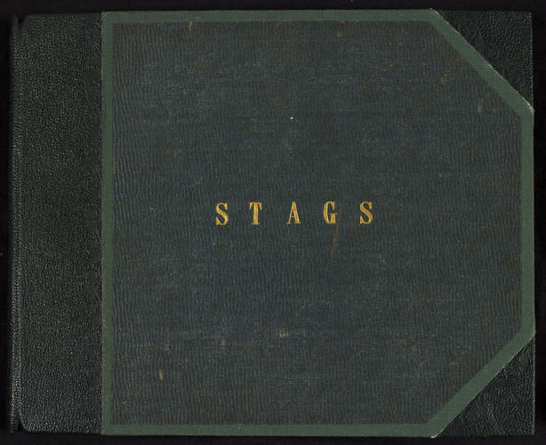 Stags; Volume 1