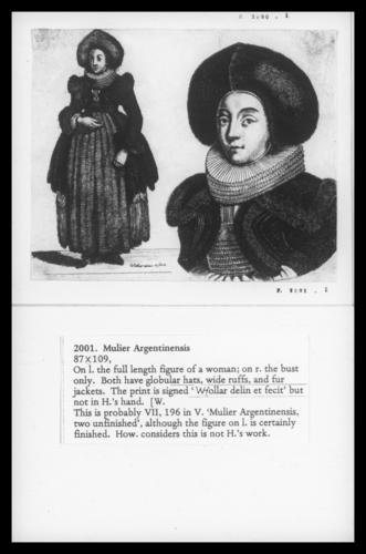 Mulier Argentinensis Mulier Argentinensis
