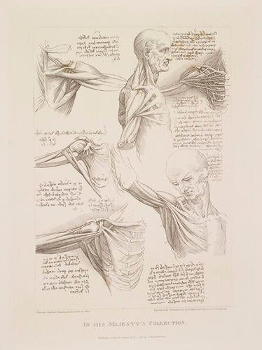 Original designs of the most celebrated masters of the Bolognese, Roman, Florentine and Venetian Schools. . . . in his Majesty's Collection
