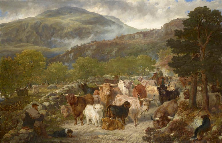 Highland Cattle in the Pass of Leny Highland Cattle in the Pass of Leny