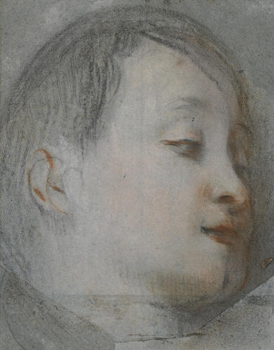 The head of a boy The head of a boy