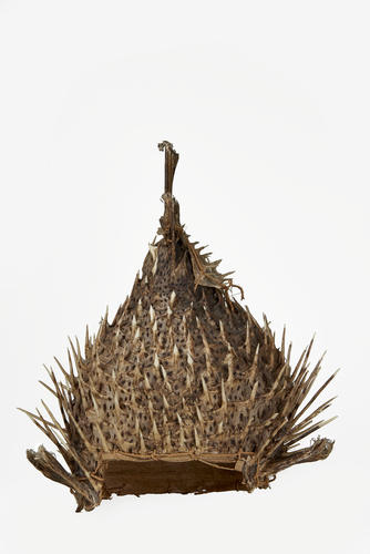 Porcupine fish helmet (te barantauti) Porcupine fish helmet (te barantauti)
