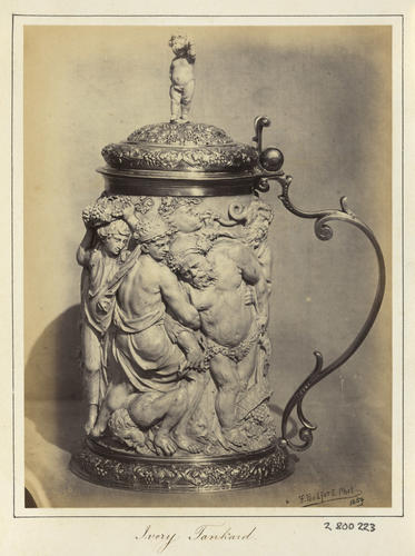 'Ivory Tankard' 'Ivory Tankard'