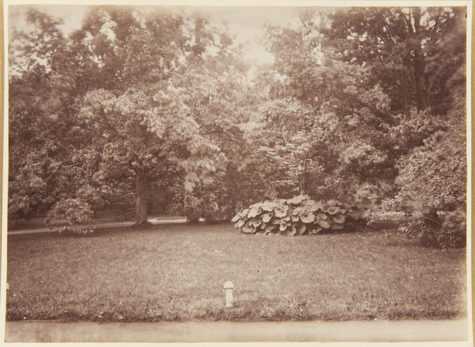 Grounds near Alexandria, Cottage, Peterhof. [Peterhof, 1893. ]