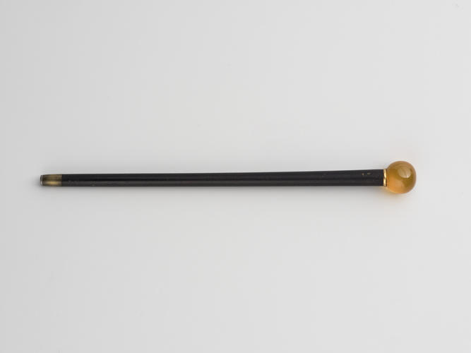 Walking stick Walking stick