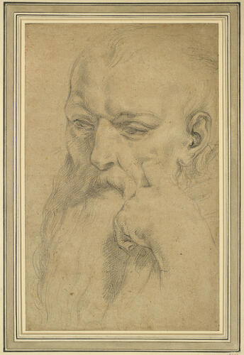 The head of a bearded man The head of a bearded man