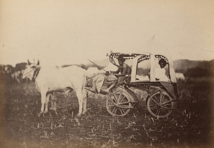 'A native travelling Bullock Cart'