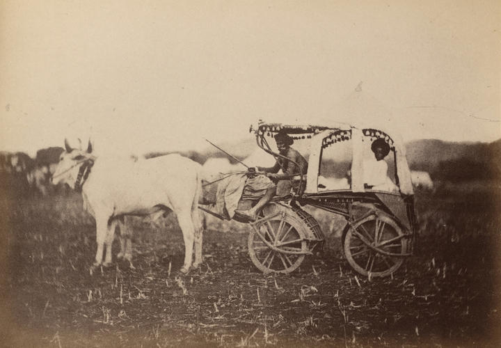 'A native travelling Bullock Cart' 'A native travelling Bullock Cart'