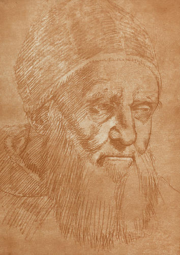 Portrait of Pope Julius II